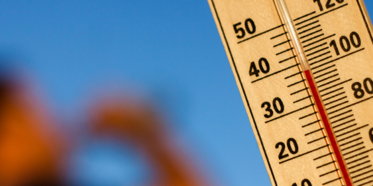 Ola de calor