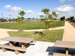 Harborside Park