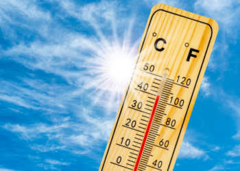 Ola de calor