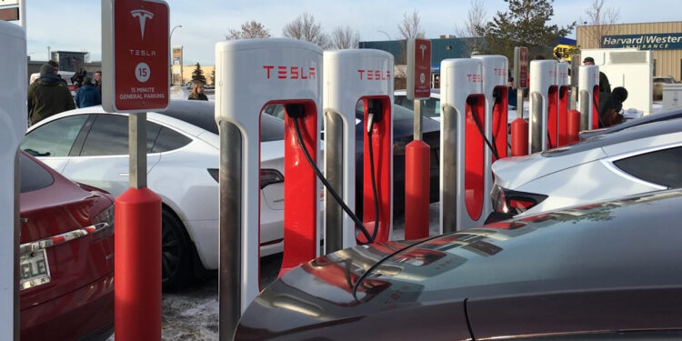 Cargadores de autos Tesla