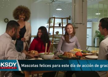 ¿Qué puedes darle a tu mascota en la cena de acción de gracias?