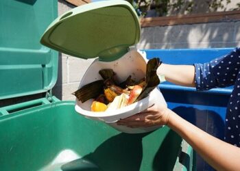 Residentes de San Diego pronto obtendrán nuevos contenedores para desechos de alimentos y de jardinería