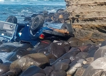 Muere hombre tras caer en acantilado, perro sobrevive