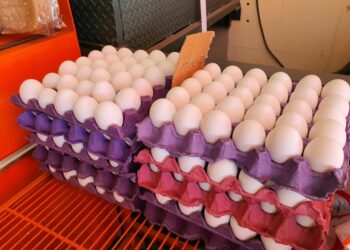 Californianos buscan en la ciudad fronteriza un huevo más barato