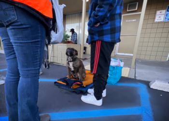 Realizan conteo de homeless en San Diego
