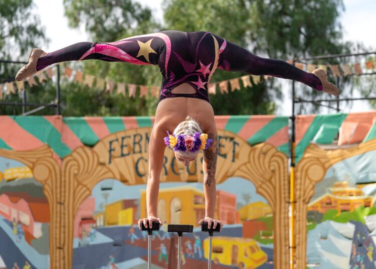 Fern Street Circus
