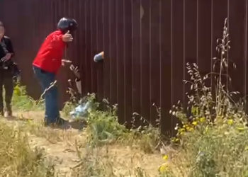 Repartidor de comida