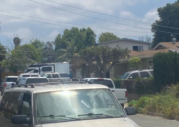 Se entrega Brandon Andrade tras enfrentamiento con SWAT en Lemon Grove