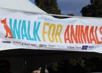 sd humane society