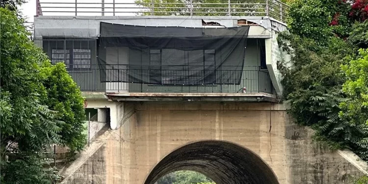 Puente viral