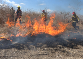 Bomberos locales se preparan para combatir incendios forestales