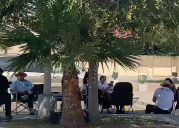 Colectivo de búsqueda