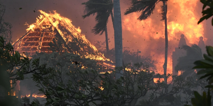 Cómo ayudar a los afectados por los incendios en Maui