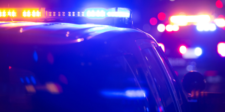 Hombre acusado de matar a su madre y 2 perros, muere tras enfrentamiento con la policía
