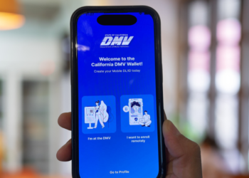 DMV Wallet