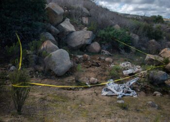 Colectivos de búsqueda localizaron 4 cuerpos y un cráneo en Delicias 3