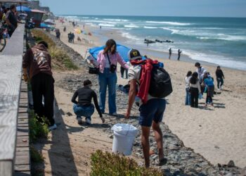 Miles de voluntarios se unen para salvar las playas de Baja California