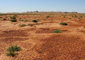 San Diego Sale de la Sequía: Reserva de Agua Garantizada para el Futuro