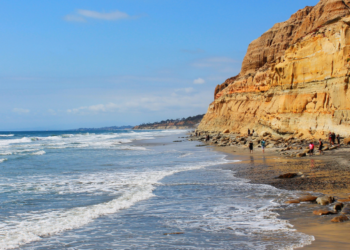 Torrey Pines