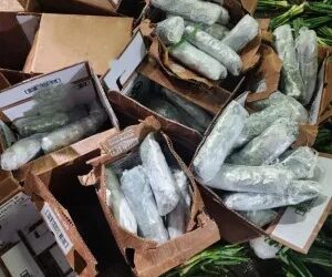 CBP decomisó un cargamento de metanfetamina ocultó entre cebollas