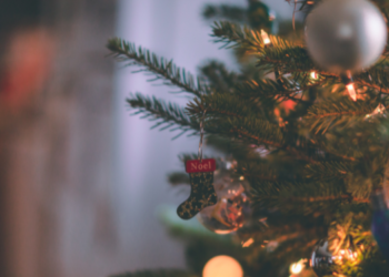 Árboles de navidad vuelven a subir de precio para esta temporada