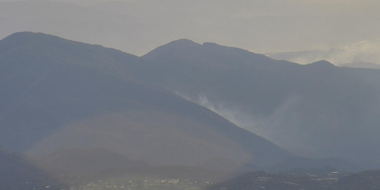 Incendio forestal