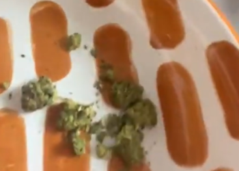 Marihuana