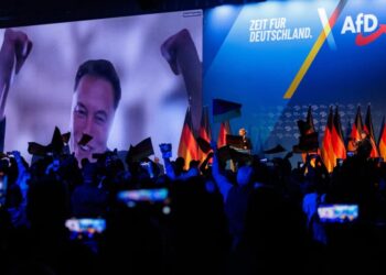 Elon Musk genera controversia tras apoyar a partido de extrema derecha alemán