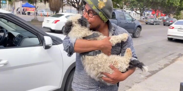 José y su perrita Toodle: 14 años de música, compañía y lealtad por las calles de Tijuana