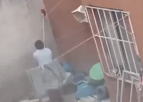 pachuca maltrato animal
