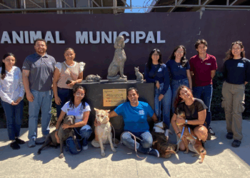 Centro de Control Animal en Tijuana se transforma para priorizar salud y protección animal