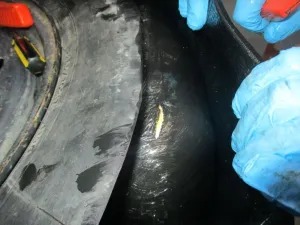CBP decomisa récord de 290 libras de heroína en San Ysidro