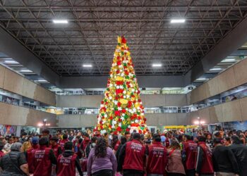 Encienden árbol navideño en Palacio Municipal de Tijuana