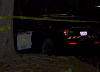 Bajo investigación tiroteo que involucra a policía de San Diego en el parque Balboa