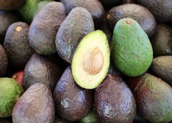 Aguacate mexicano alcanza exportaciones récord por el Super Bowl