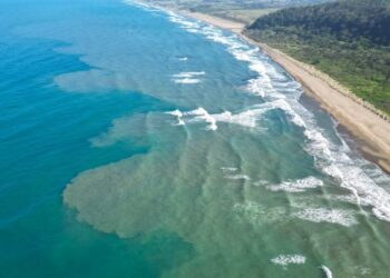 Pemex remueve a tres funcionarios por presuntas irregularidades en megaderrame de hidrocarburo en el Golfo de México