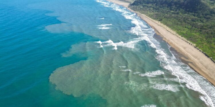Pemex remueve a tres funcionarios por presuntas irregularidades en megaderrame de hidrocarburo en el Golfo de México