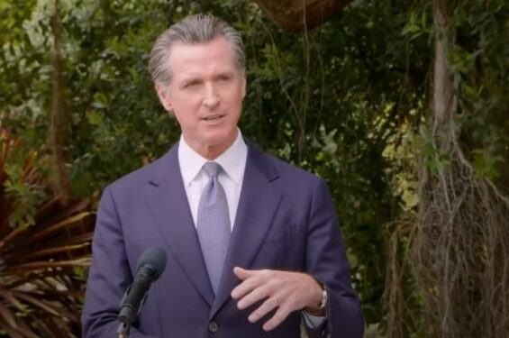 Gavin Newsom