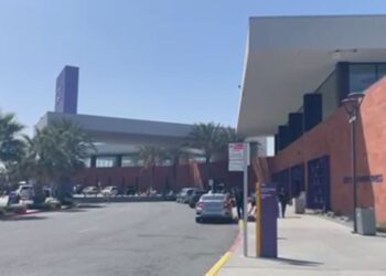 CBX registra incremento de viajeros y anuncia expansión.