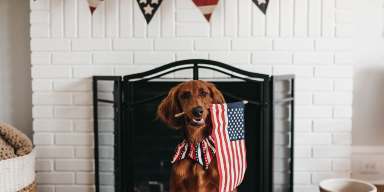 Cuide a sus mascotas de los fuegos artificiales este 4 de julio