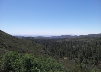 Cleveland National Forest_from_Mount_Laguna
