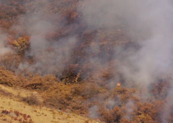 Temporada alta de incendios forestales, mantén listo tu plan de evacuación