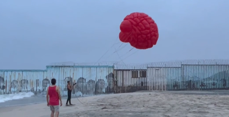 Cerebro Rojo