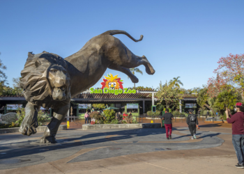 Kids Free San Diego