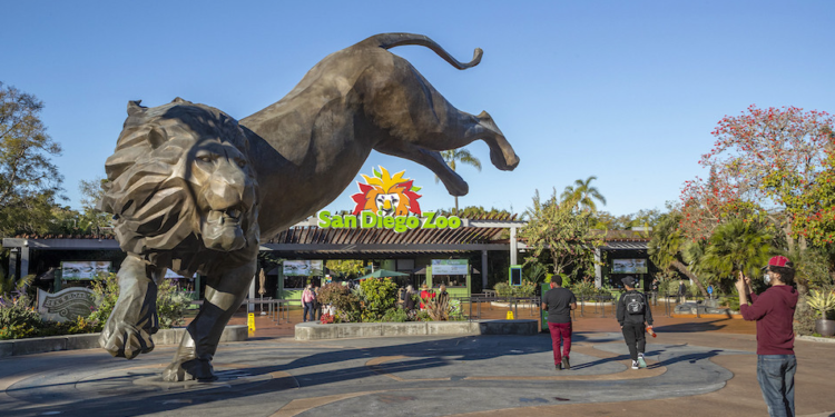 Kids Free San Diego