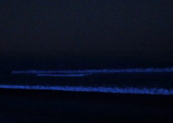 Este fin de semana se registró bioluminiscencia en playa de Imperial Beach