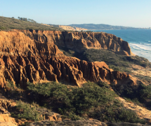 Torrey Pines