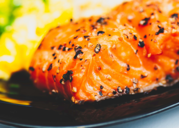 Salmon
