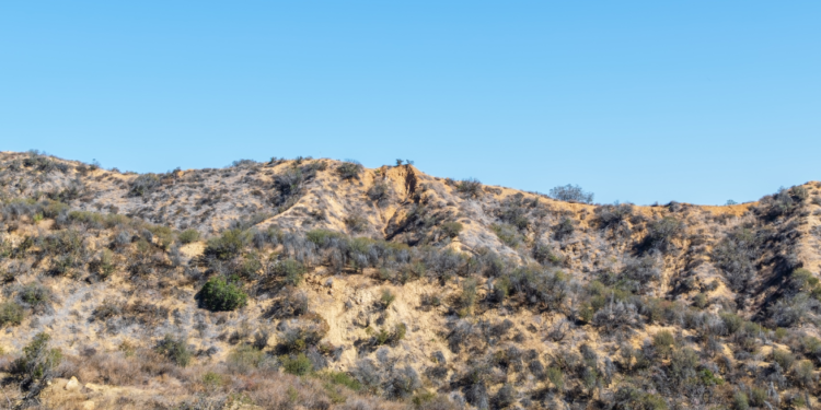 Vientos de Santa Ana