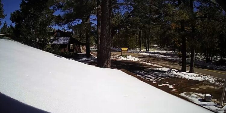Primera nevada San Diego